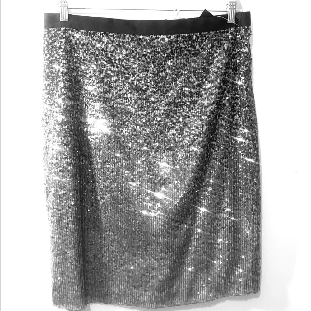 NWT Stunning Steel Gray Sequin skirt by PURE - Picture 1 of 4